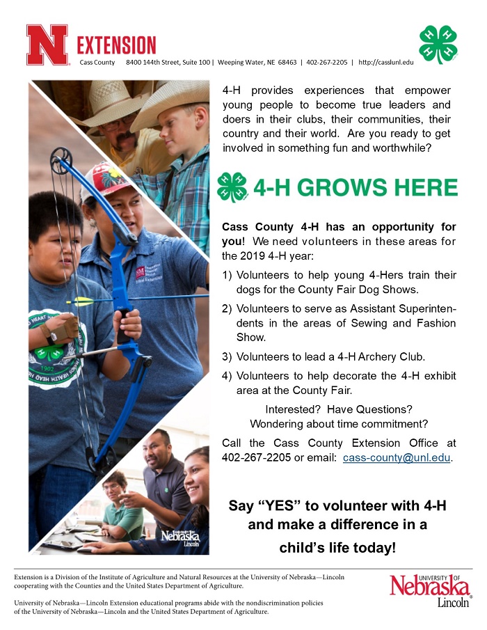 Volunteer with 4 H 2019