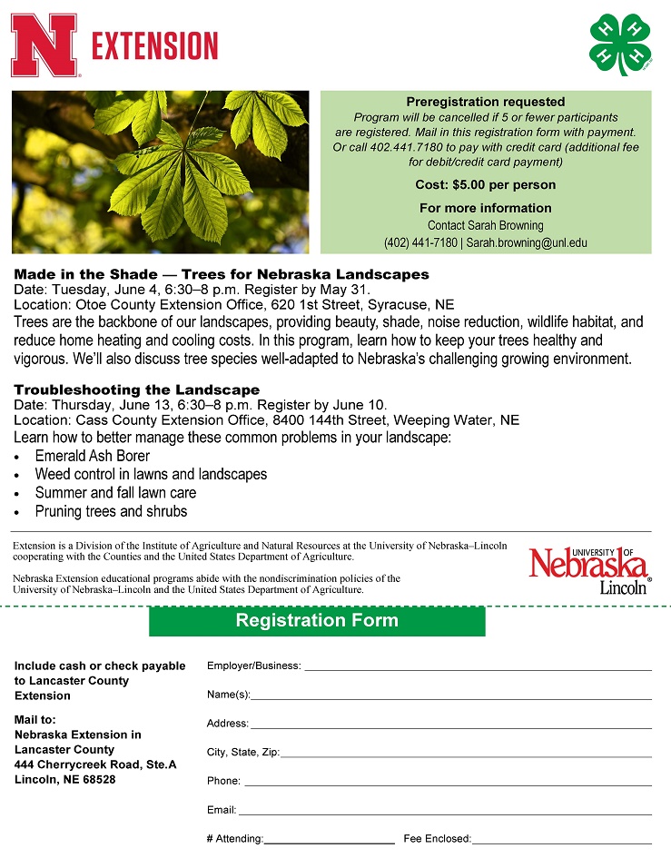 Ext workshops