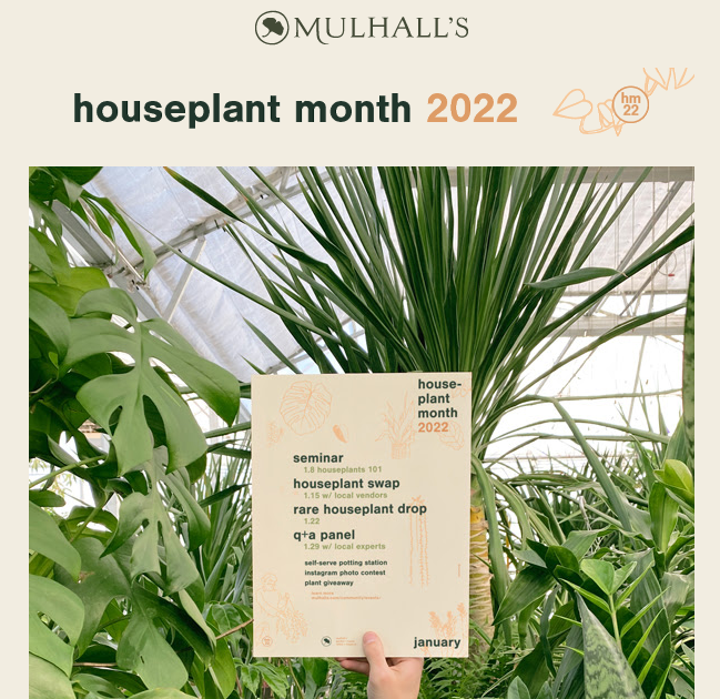houseplant month