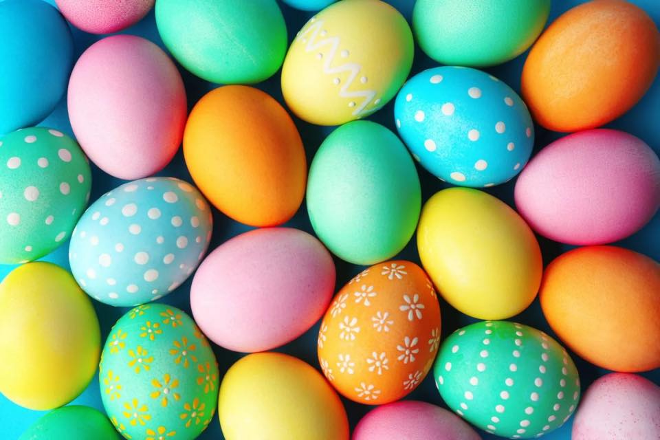 Eagle vision egg hunt 2023