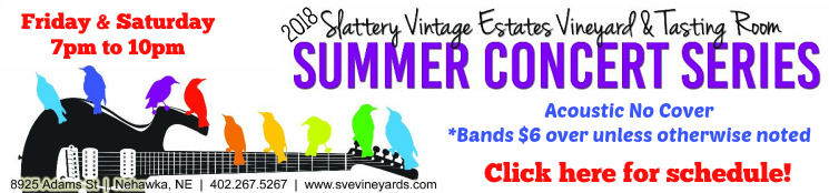 SVE banner v1